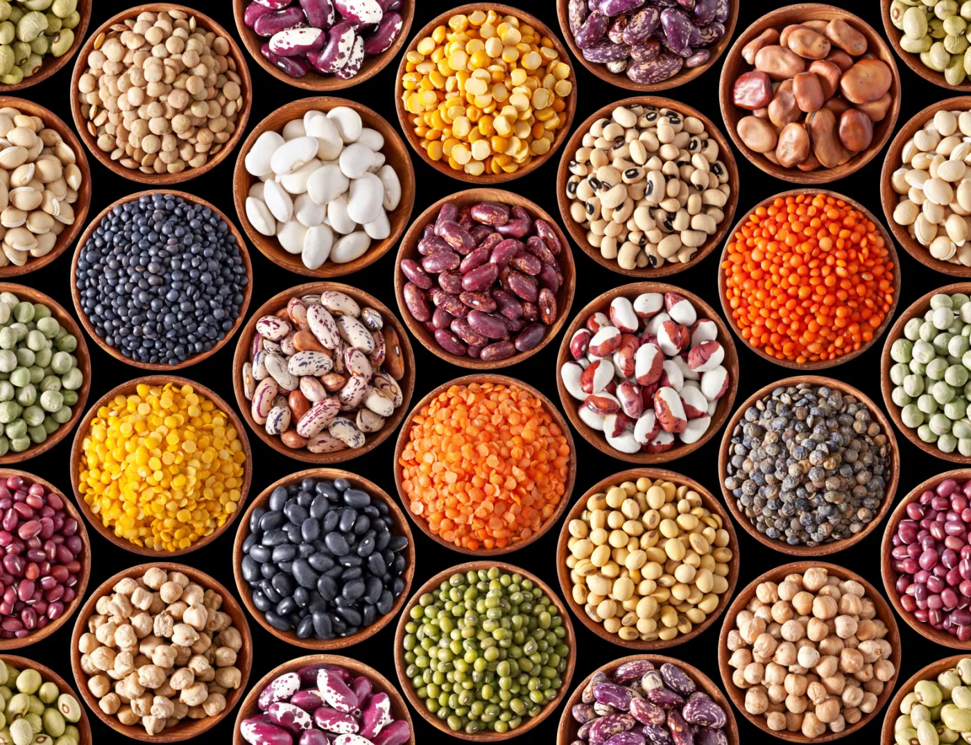 Agro Product 4